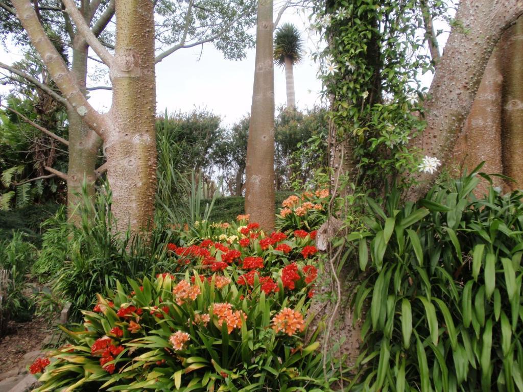 Wharepuke Subtropical Accommodation Kerikeri Exteriér fotografie