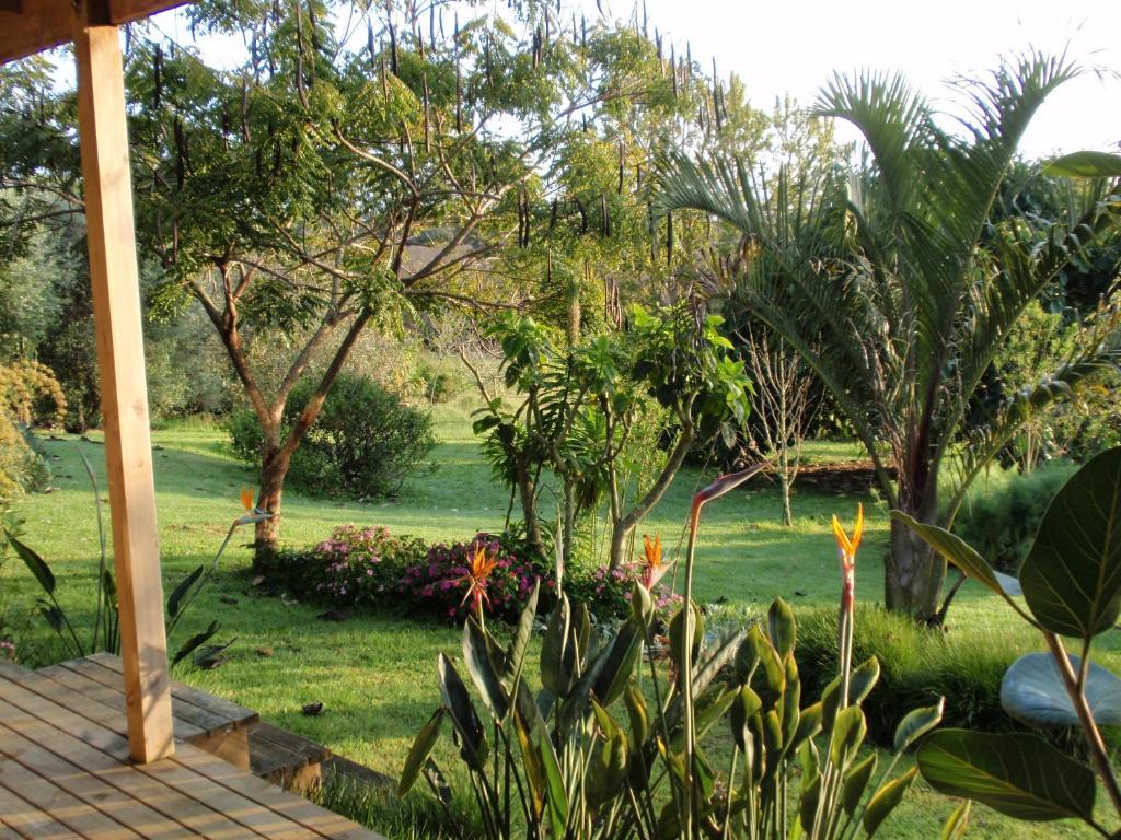 Wharepuke Subtropical Accommodation Kerikeri Pokoj fotografie