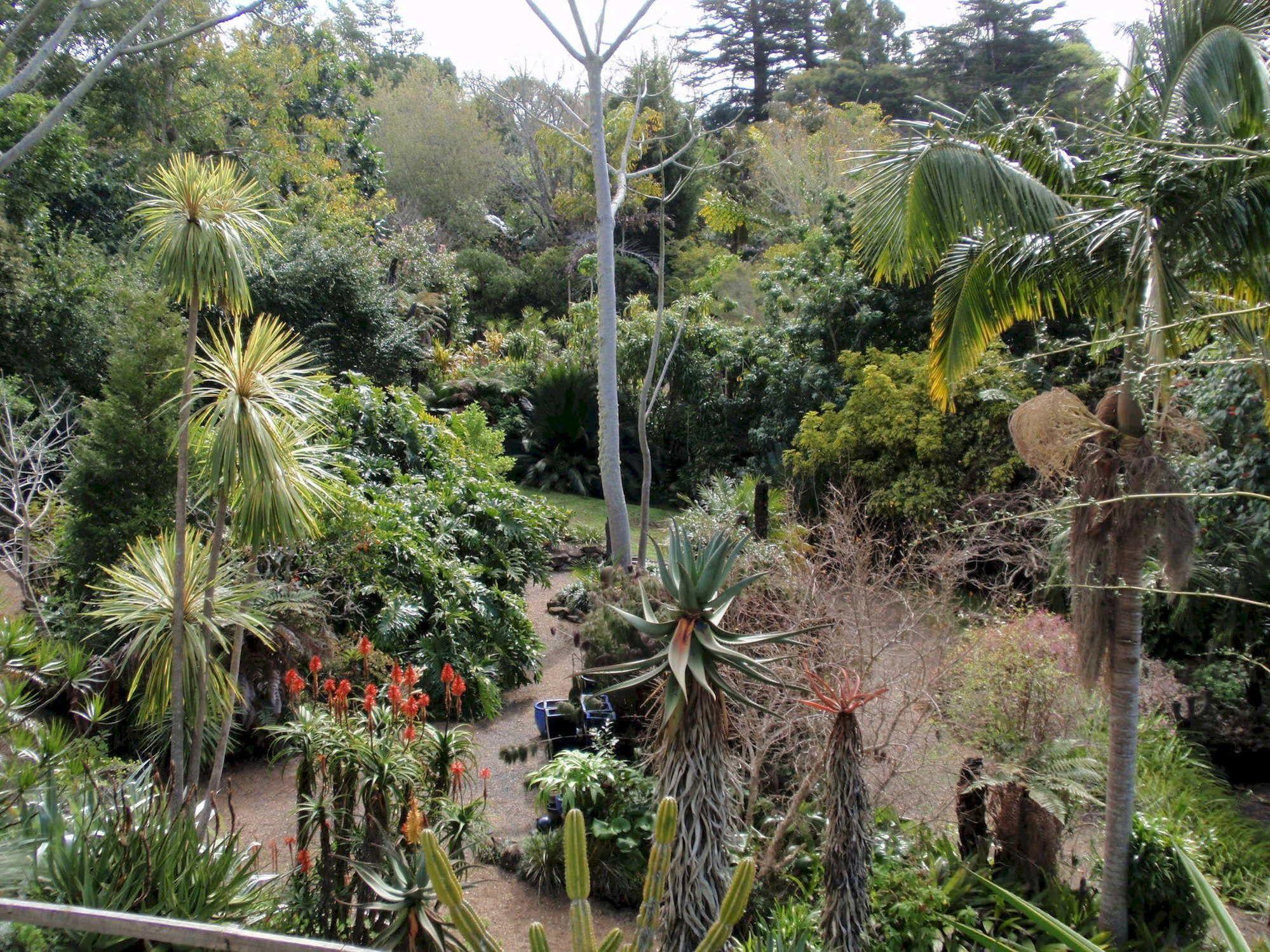 Wharepuke Subtropical Accommodation Kerikeri Exteriér fotografie