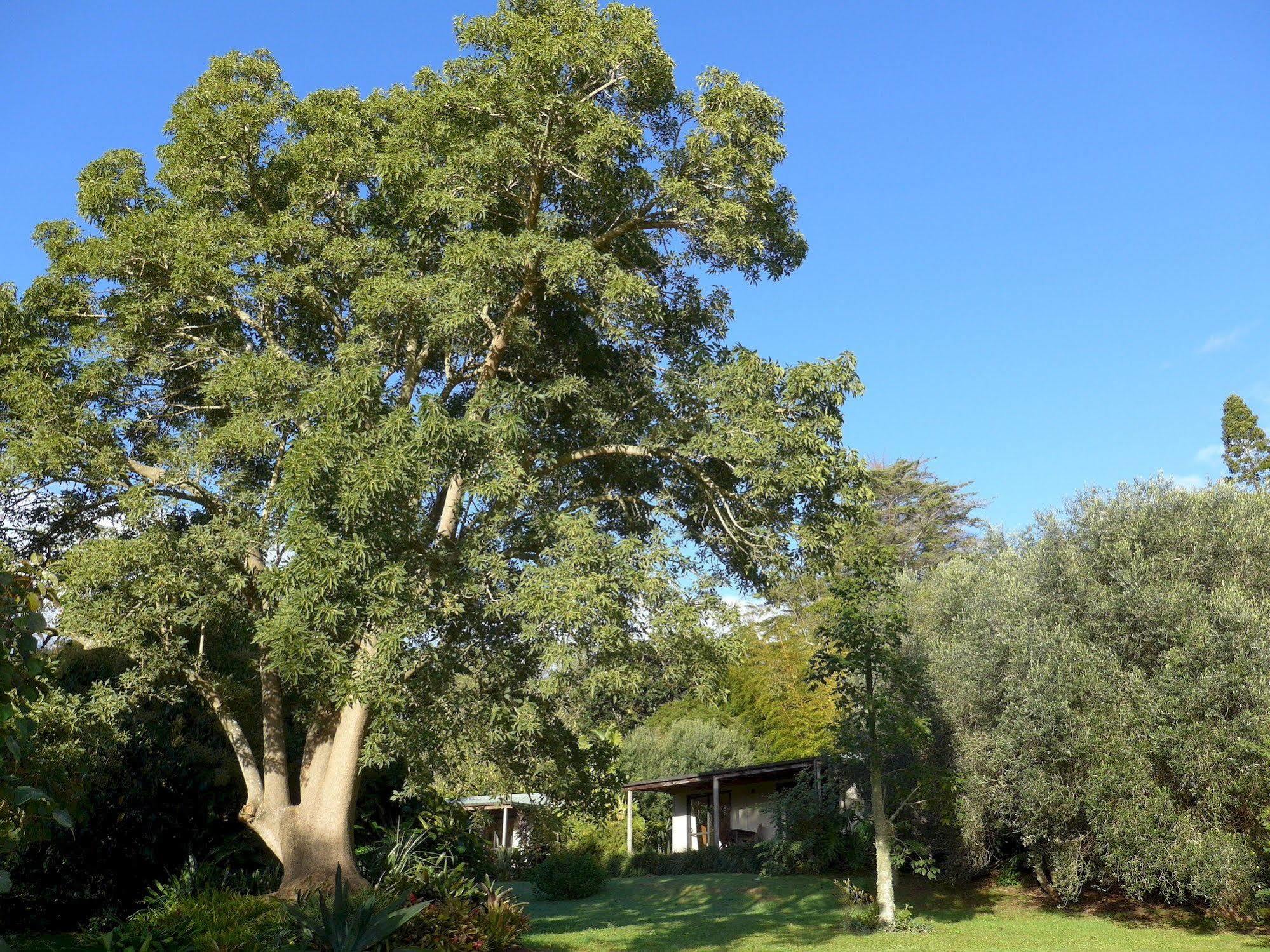 Wharepuke Subtropical Accommodation Kerikeri Exteriér fotografie