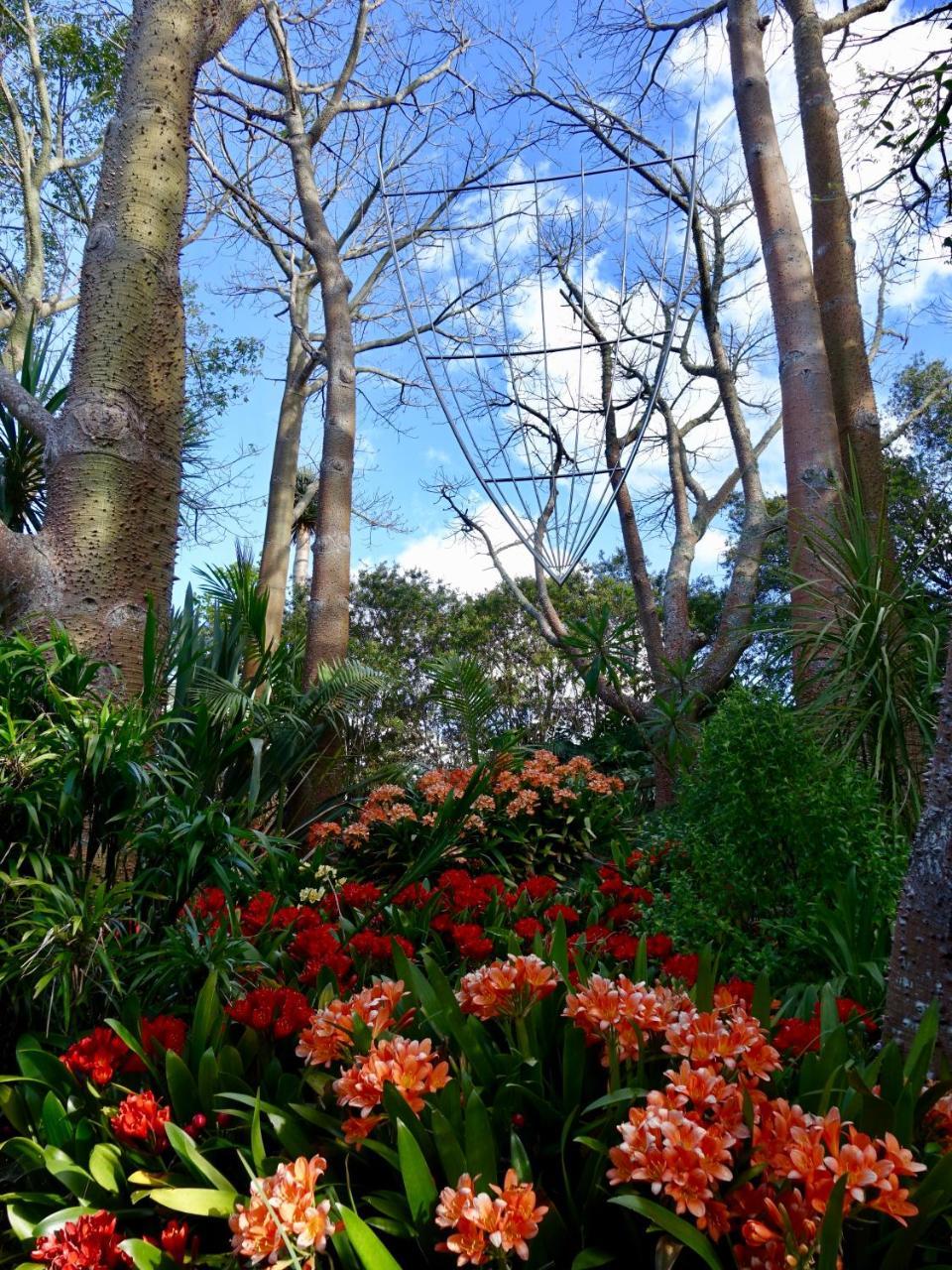 Wharepuke Subtropical Accommodation Kerikeri Exteriér fotografie